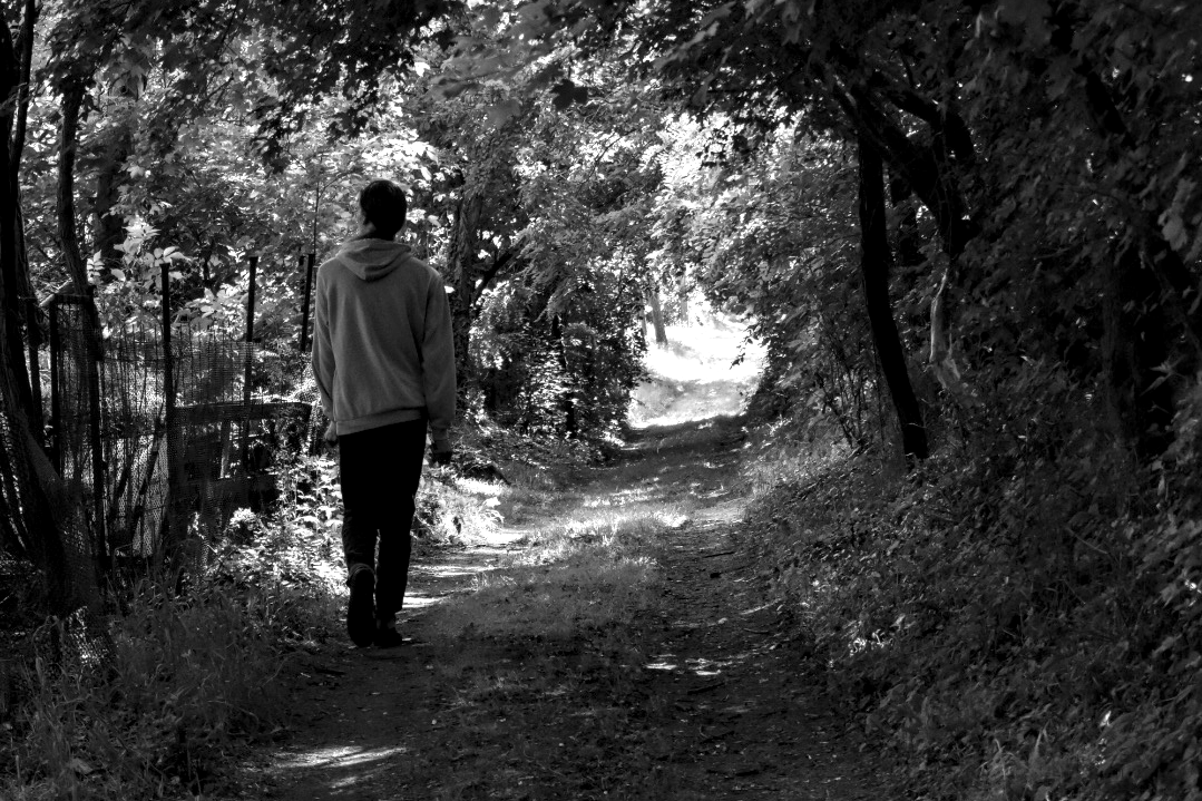 Le a nyúlüregbe – Rázós út az önismeretig