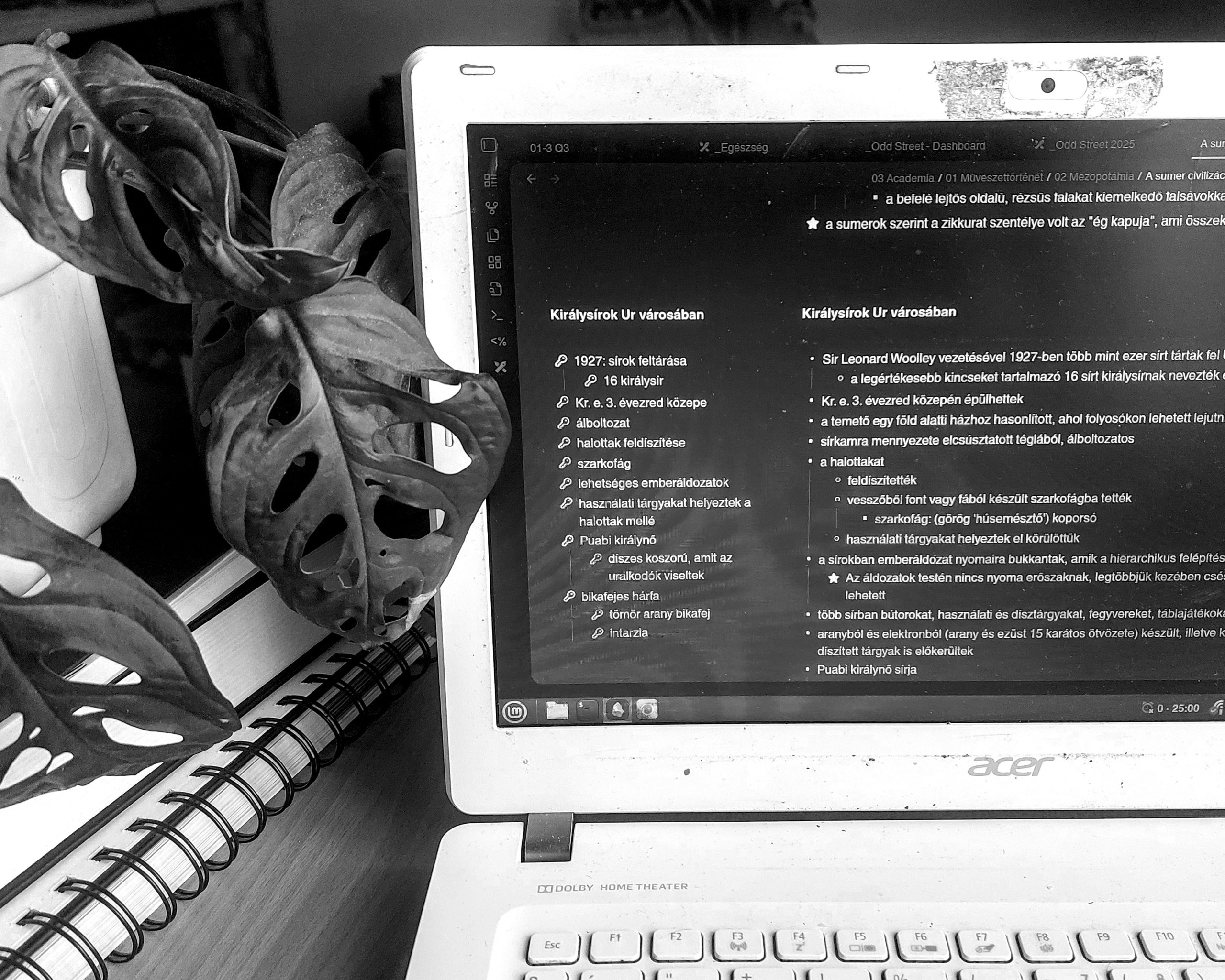 Hagyj fel a magolással! – 5 Hatékony tanulási technika